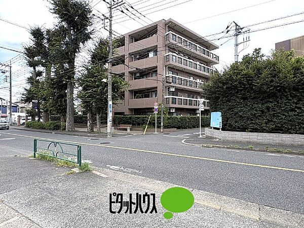 外観：313004849215