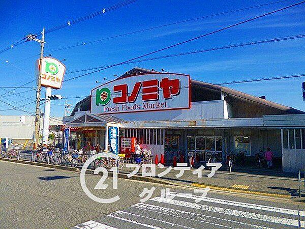 コノミヤ浜寺石津店 徒歩10分。 770m