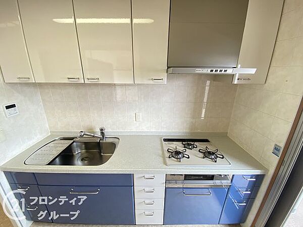 洗練されたブルーのパネルが印象的なキッチンは、機能美を追求した使い勝手の良さが魅力です。広々としたワークトップと収納力で、毎日の料理がよりスムーズに、そして楽しくなる工夫が凝らされています