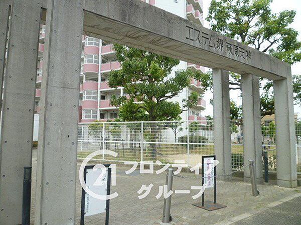 マンションのエントランスは、住まう方々を迎える洗練された空間です。日常の出入りを快適にするための工夫がされています。広々としたデザインで、開放感を感じさせます。