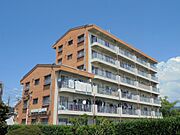 イワマアメニー 3階 築40年1ヶ月の賃貸物件