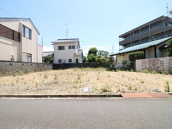【appearance】