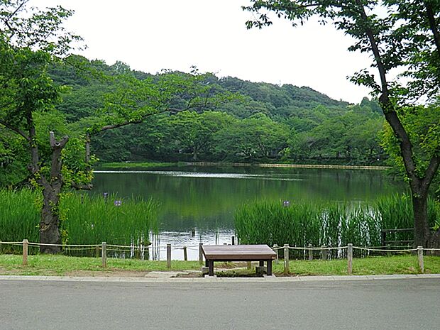 三ツ池公園 90m