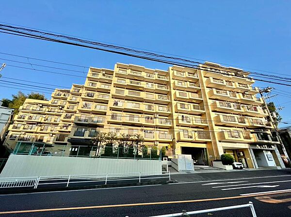 外観：314002516163