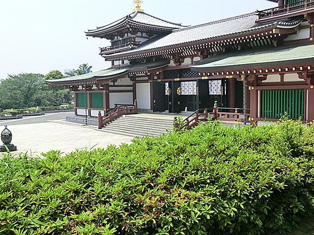 横浜孝道幼稚園 220m