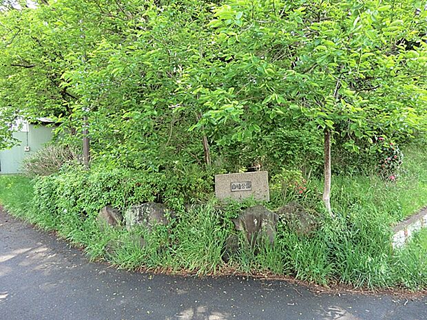 白幡公園　240ｍ