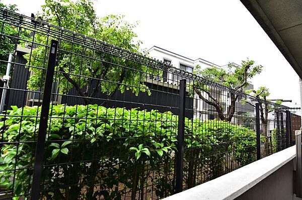 この街ならではの美しい風景と、ここから紡がれる物語が始まります。