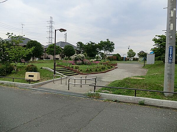 上台北公園  450m