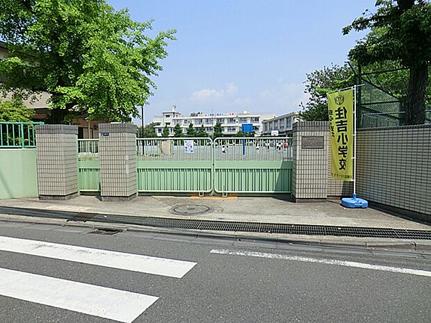 川崎市立住吉小学校 230m