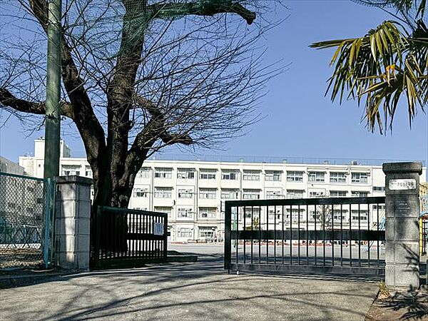 横浜市立常盤台小学校　270ｍ