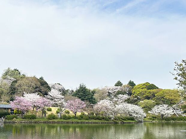 三ツ池公園 400m