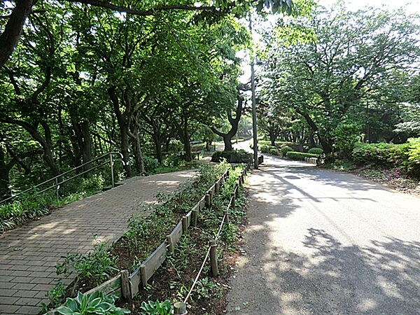 神之木公園　1200ｍ