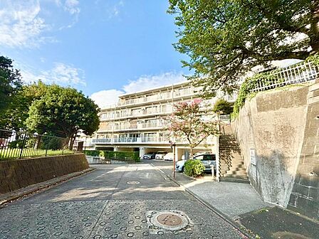 窓からたっぷりと陽光が注がれる明るい住まい。
