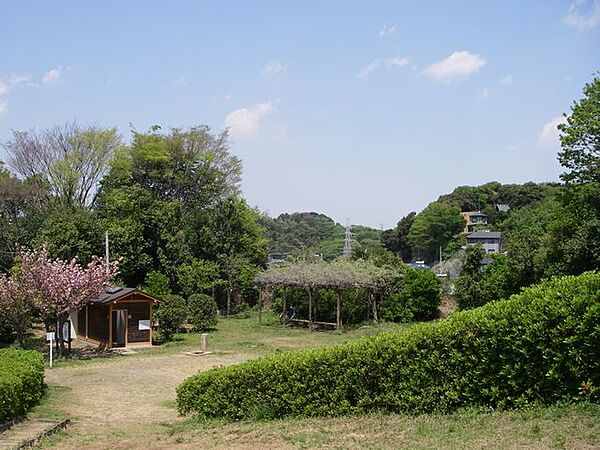 獅子ケ谷市民の森　520m