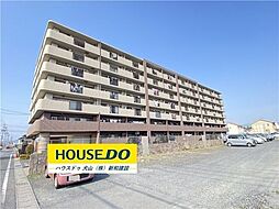 ヴィーゴ愛松大口