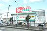 周辺：スギ薬局　松本店 1280m