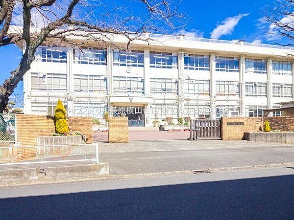清新中学校 1060m