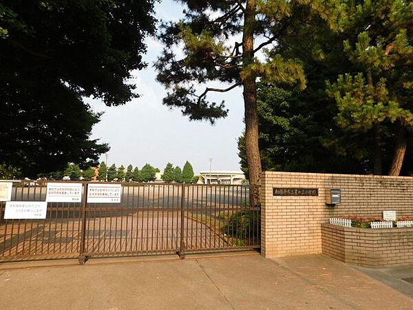 星が丘小学校 1000m