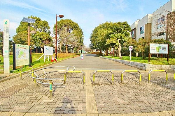 公園 900m 亀戸中央公園