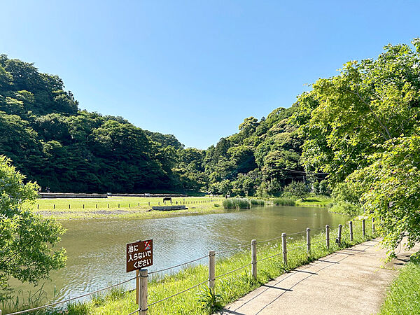 近隣の様子（永福寺跡）