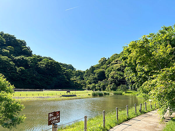 近隣の様子（永福寺跡）