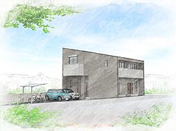 BELGRAVIA SANDS PREMIUM