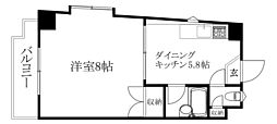 ラッスルスクエア松山市駅 1DKの間取図画像