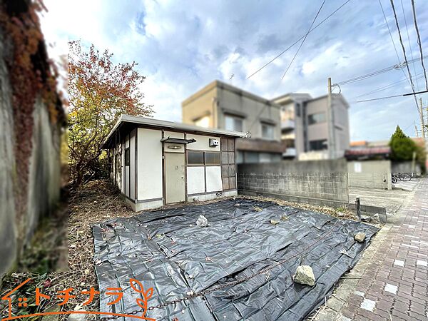 2025/11/30撮影