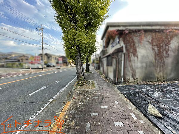 2025/11/30撮影
