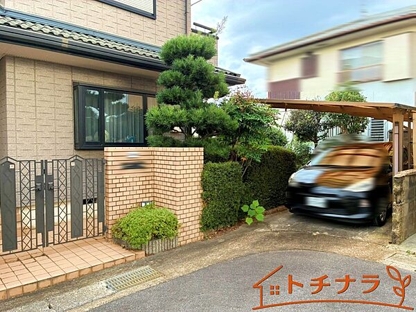 2025/12/04撮影