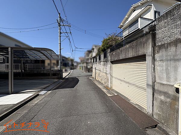 2026/4/8撮影
