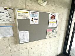 7 / 11