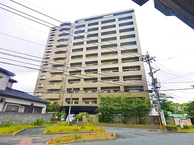 8 / 26