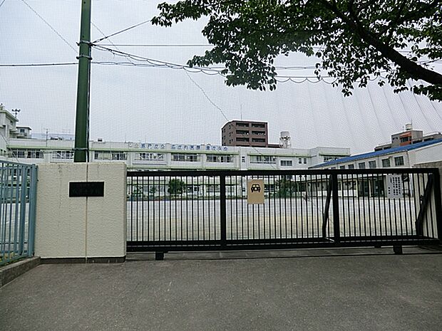 川崎市立坂戸小学校　570ｍ