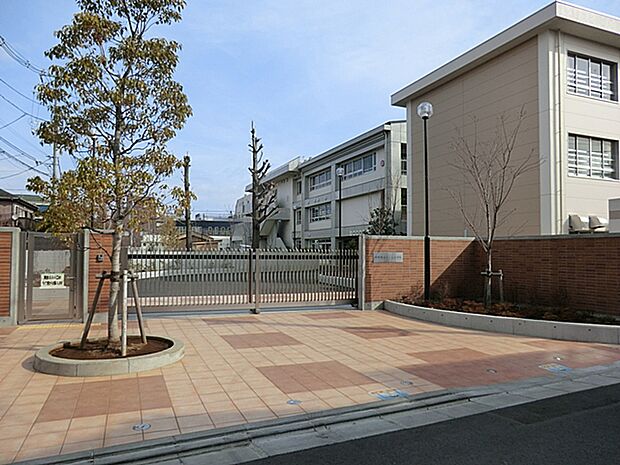 川崎市立さくら小学校？455m？