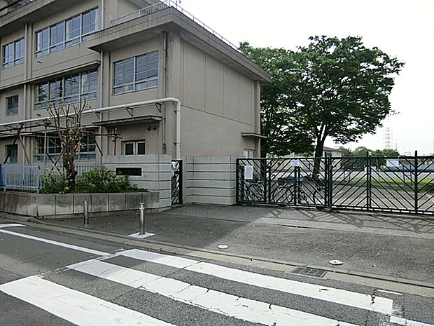 川崎市立新町小学校?310m?