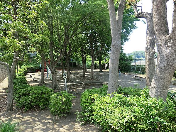 周辺を拡大表示