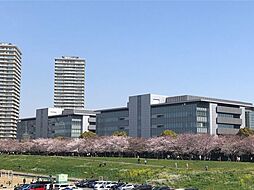 周辺施設の画像