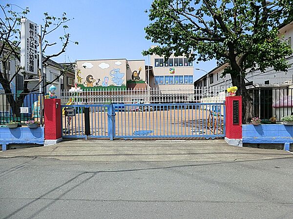 新作やはた幼稚園　300ｍ