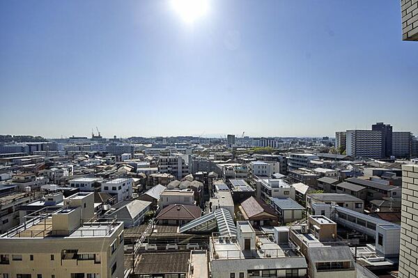 周囲の自然が一望でき、穏やかな時間を楽しめる眺望です。
