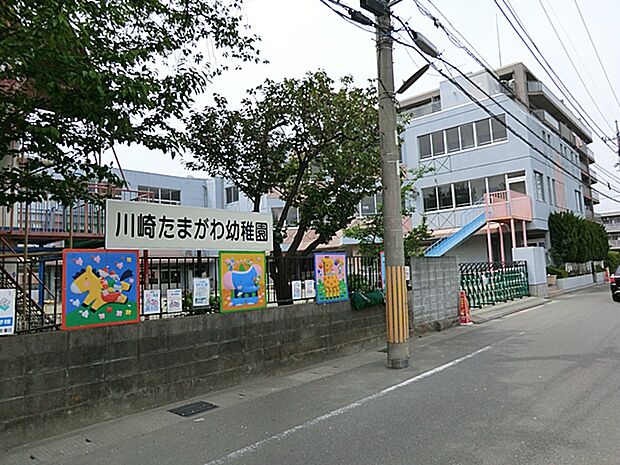 川崎たまがわ幼稚園 950m
