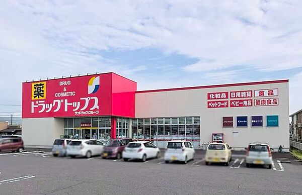 ドラッグトップス　巻店 360m