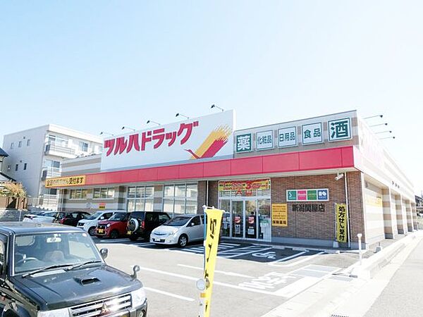 ツルハドラッグ 新潟関屋店 1060m