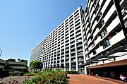 朝霞台駅より徒歩9分 築50年4ヶ月 11階建の賃貸物件
