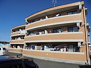 リッツガーデン 3階 築31年の賃貸物件