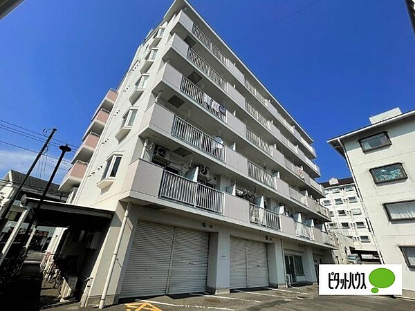 富士昭和ビルII 210｜静岡県富士市本市場(賃貸マンション1K・2階・19.25㎡)の写真 その1
