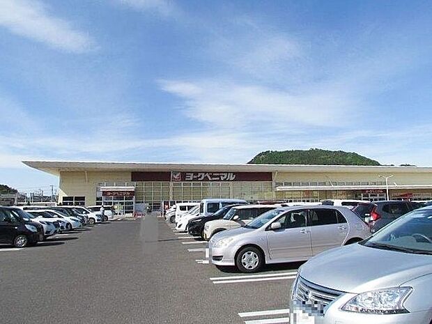 ヨークベニマル野田店 1130m