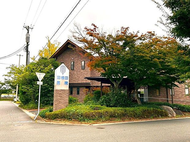 医療法人 羽根田医院 200m