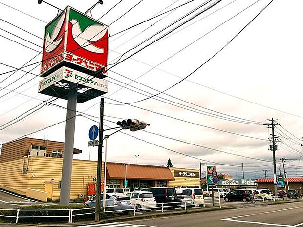 ヨークベニマル 相馬店 2080m