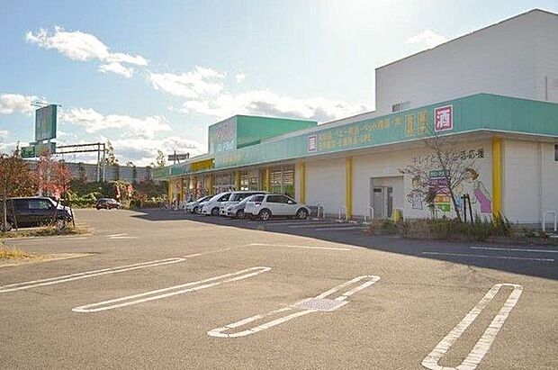 ハシドラッグ信陵店 1080m